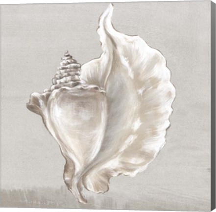 Framed Neutral Shells III Print