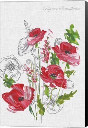 Framed Botanical Poppies Print