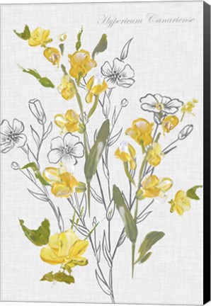 Framed Botantical Yellow Flowers Print