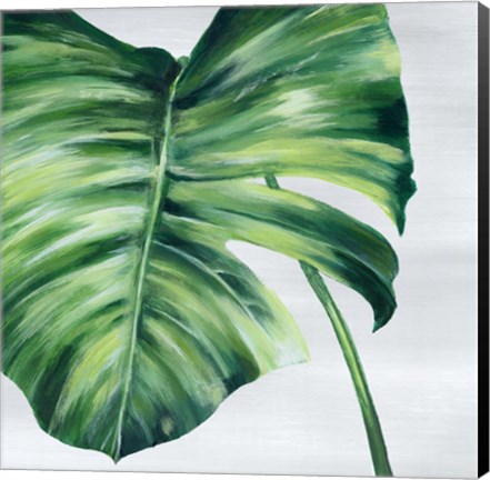 Framed Tropical Leaf II Print