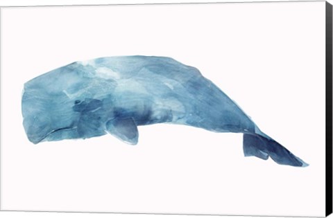 Framed Whale Print