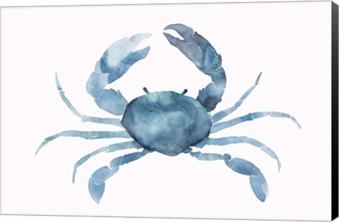 Framed Blue Crab Print