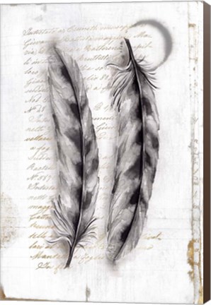 Framed Vintage Feathers I Print