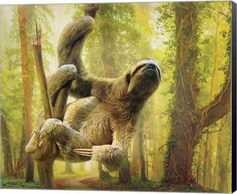 Framed Sun Soaker Sloth Print