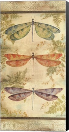 Framed Classical Dragonfly Panel Print