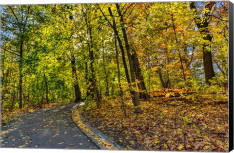 Framed Clove Lakes Park in Autumn D Print