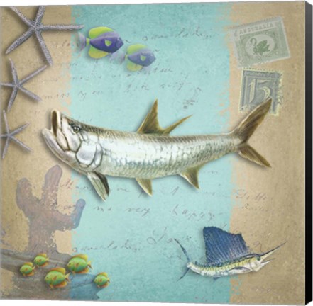 Framed Sealife 3 Print