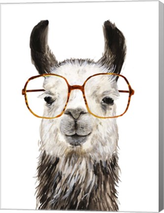 Framed Hip Llama III Print