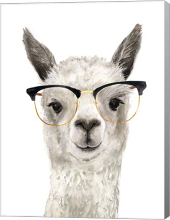 Framed Hip Llama IV Print