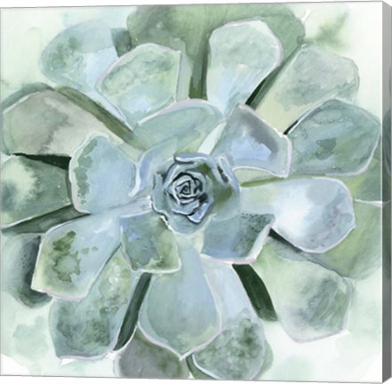 Framed Verdant Succulent III Print