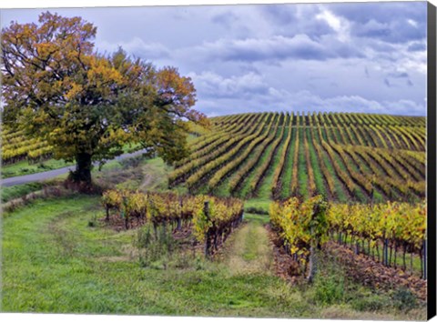 Framed Pastoral Countryside I Print