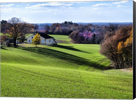 Framed Pastoral Countryside XV Print