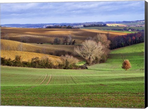 Framed Pastoral Countryside XVII Print