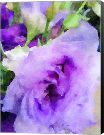 Framed Purple Flower 1 Print