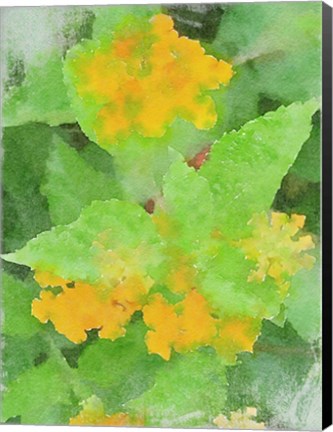 Framed Yellow Flowers 1 Print
