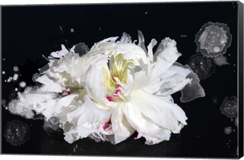 Framed Breathless Print