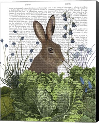 Framed Cabbage Patch Rabbit 2 Print
