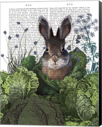 Framed Cabbage Patch Rabbit 4 Print