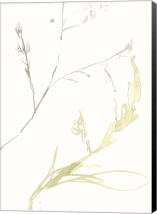 Framed Under Sea Forest IX Print