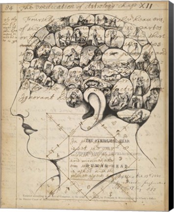 Framed Phrenology Bookpage Print