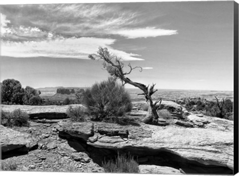 Framed Canyon Lands IV Print