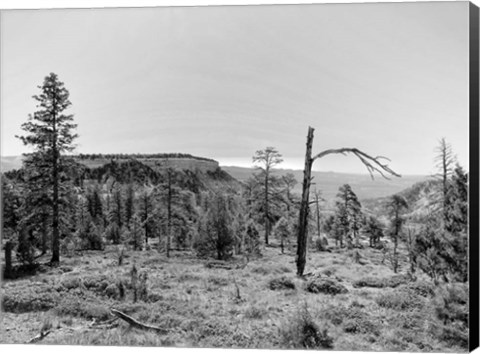 Framed Canyon Lands V Print