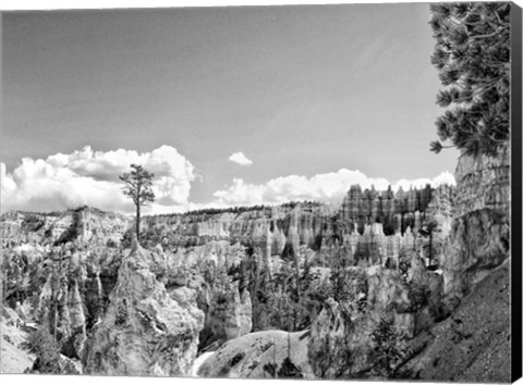 Framed Canyon Lands VI Print