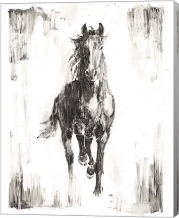 Framed Rustic Black Stallion I Print