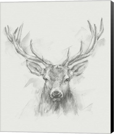 Framed Contemporary Elk Sketch I Print