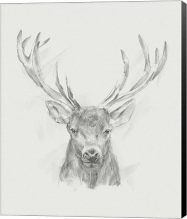 Framed Contemporary Elk Sketch II Print