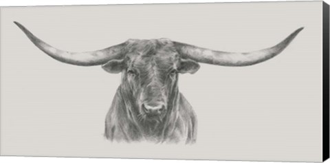 Framed Longhorn Bull Print