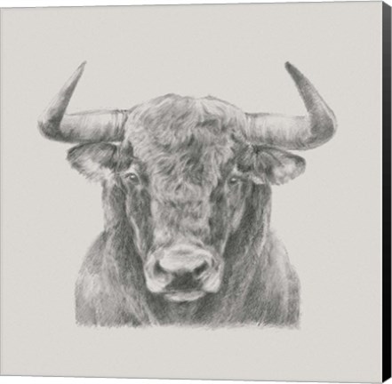 Framed Black &amp; White Bull Print