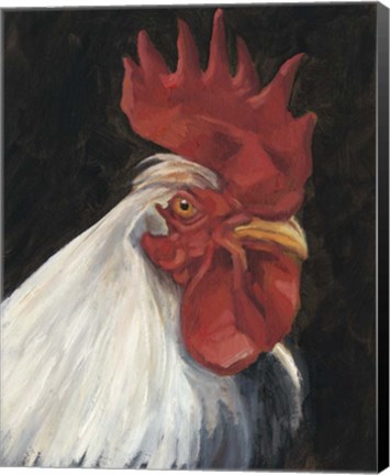 Framed Rooster Portrait I Print