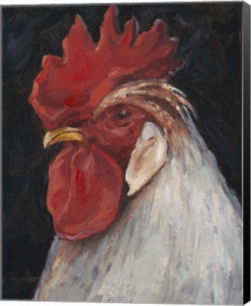 Framed Rooster Portrait II Print