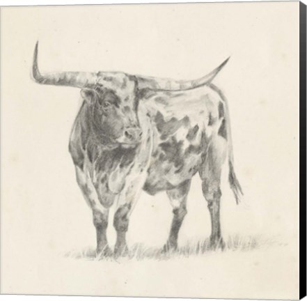 Framed Longhorn Steer Sketch II Print