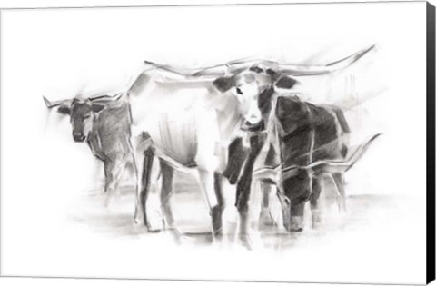 Framed Contemporary Cattle II Print