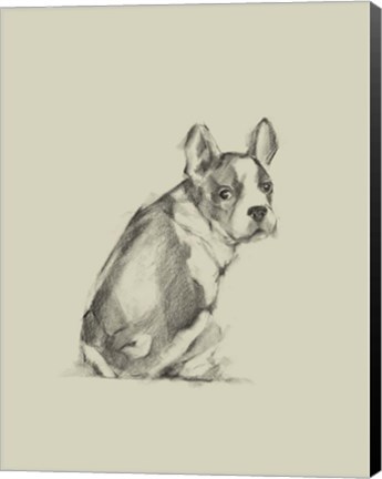 Framed Puppy Dog Eyes IV Print