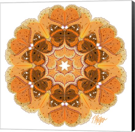 Framed Gingko Admiral Mandala Print