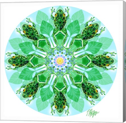 Framed Leaping Pond Frog Mandala Print