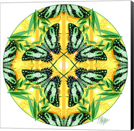 Framed Zebra Swallowtail Bamboo Mandala Print