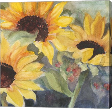 Framed Sunflowers in Watercolor II Print