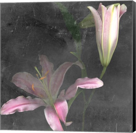 Framed Fleur de Lys II Print