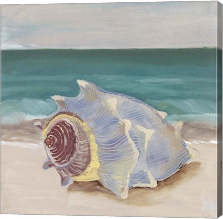 Framed She Sells Seashells I Print