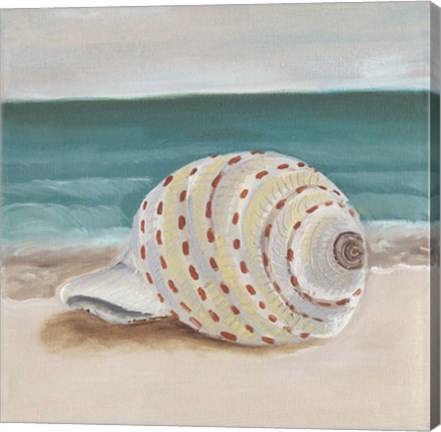 Framed She Sells Seashells II Print