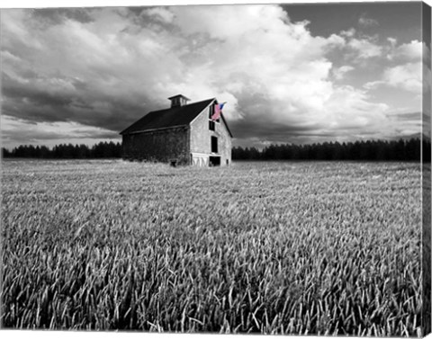 Framed Flags of Our Farmers XIII Print