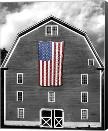 Framed Flags of Our Farmers XIX Print