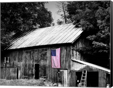 Framed Flags of Our Farmers III Print