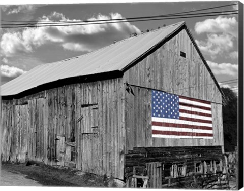 Framed Flags of Our Farmers IV Print