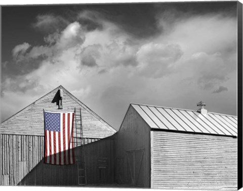 Framed Flags of Our Farmers V Print