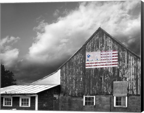 Framed Flags of Our Farmers VII Print